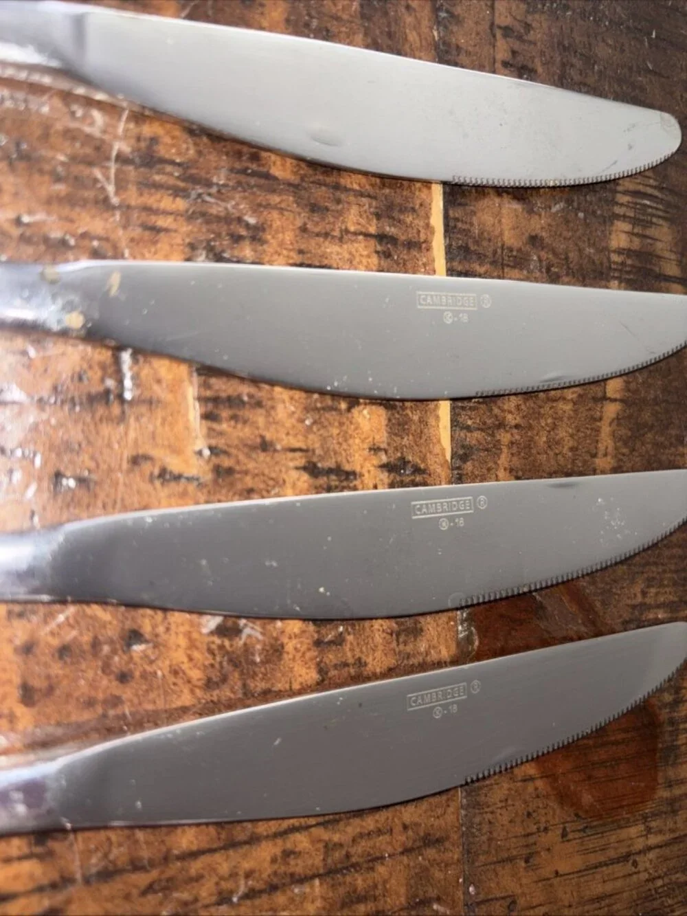 4 Dinner Knives Stainless Steel Cambridge K-18 Marked-9”